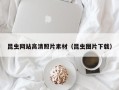 崇左昆虫网站高清照片素材（昆虫图片下载）